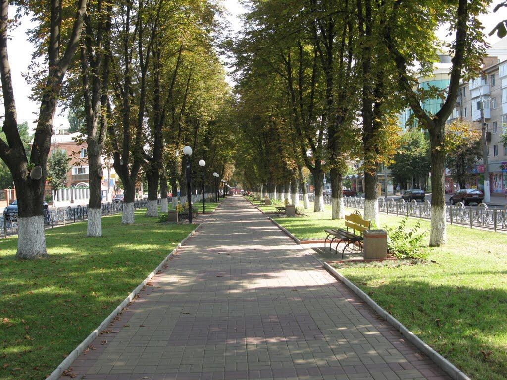 Неймовірно Затишна Студія У Центрі Міста Біля Лікарні Імені Пирогова Vinnytsia Bagian luar foto